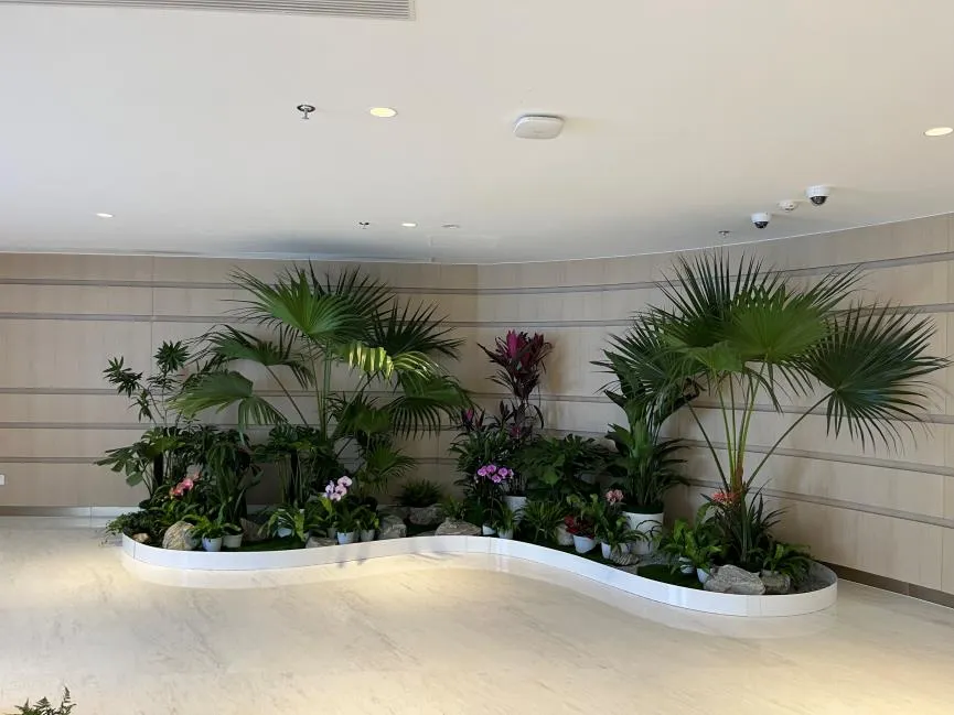 宁波江北植物租摆服务好><div class=